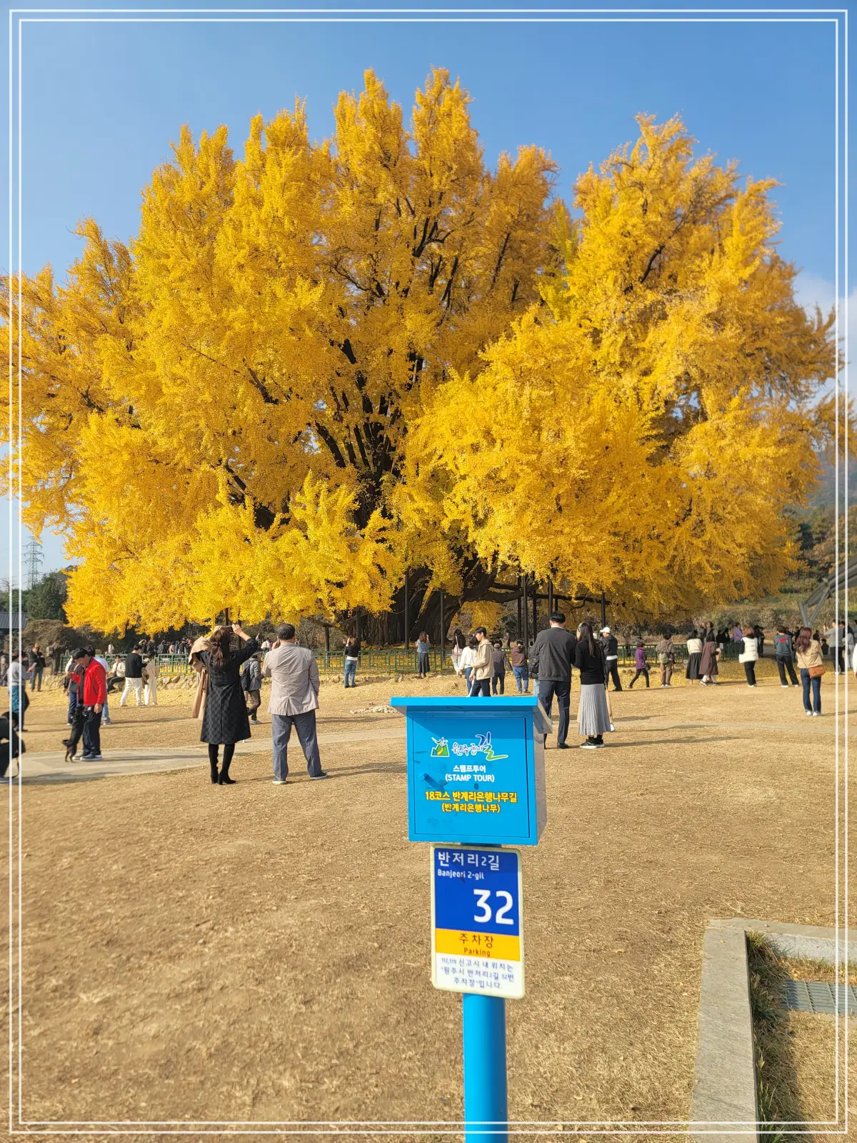 반계리-은행나무길-스템프-정면