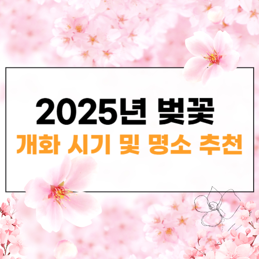 2025년 벚꽃 개화 시기 썸네일