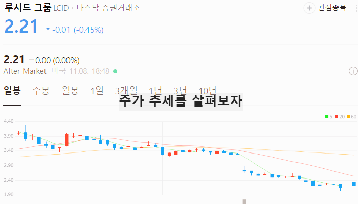 미국 전기차 관련주 대장주 테마주 수혜주 TOP5