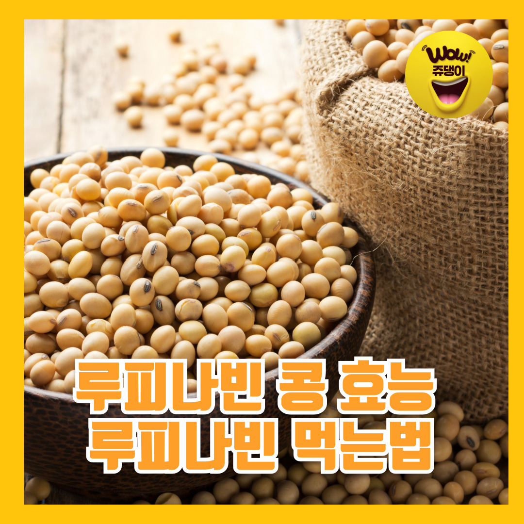 루피니빈 콩 효능 과 부작용 루피니빈 먹는법