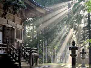 일본 여행 추천 직접 다녀온 실제 후기