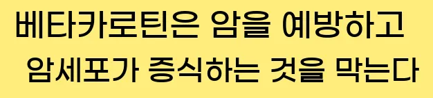  베타카로틴은 암을 예방하고, 암세포가 증식하는 것을 막는다.