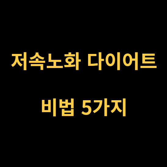 저속노화 다이어트 비법
