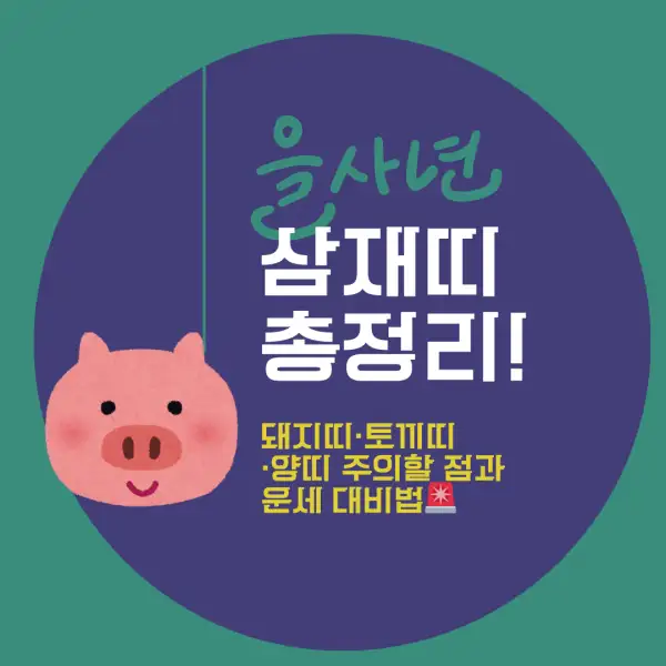 2025년 삼재띠 총정리!