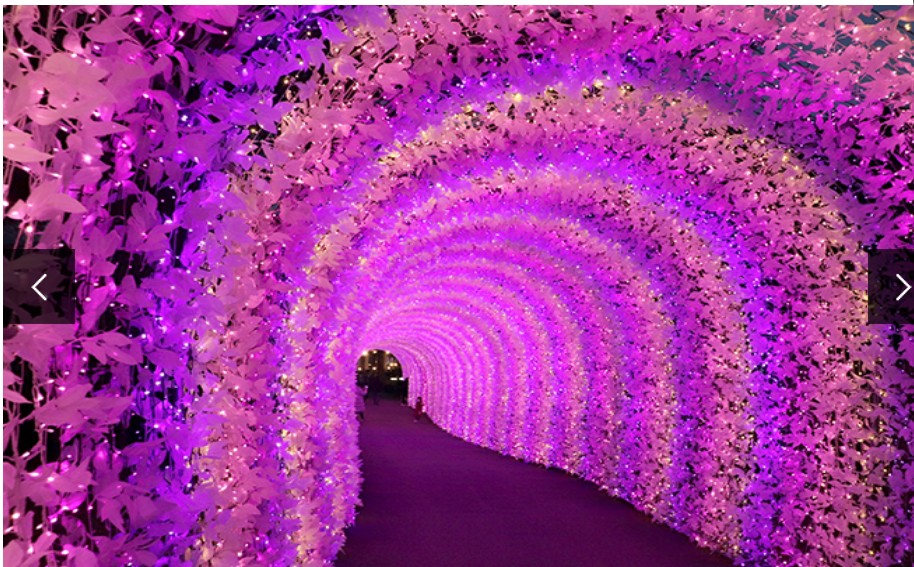 12월 축제 일정표