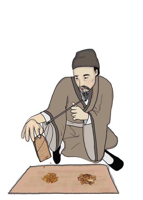 약초 환과 가루 형태의 복용 전통