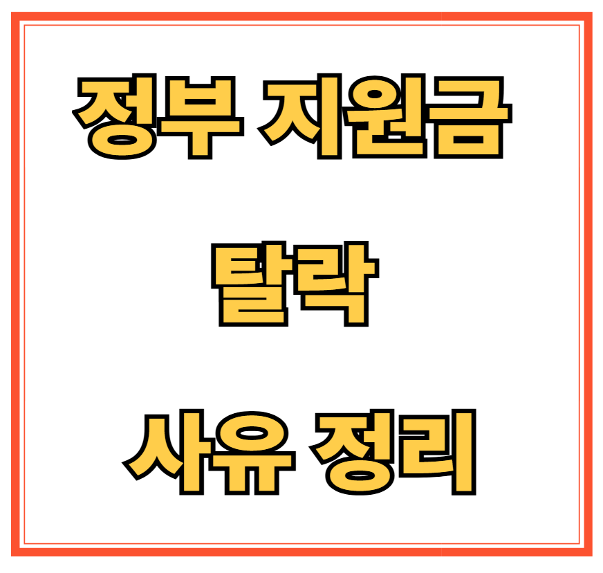 정부 지원금 탈락 사유 정리