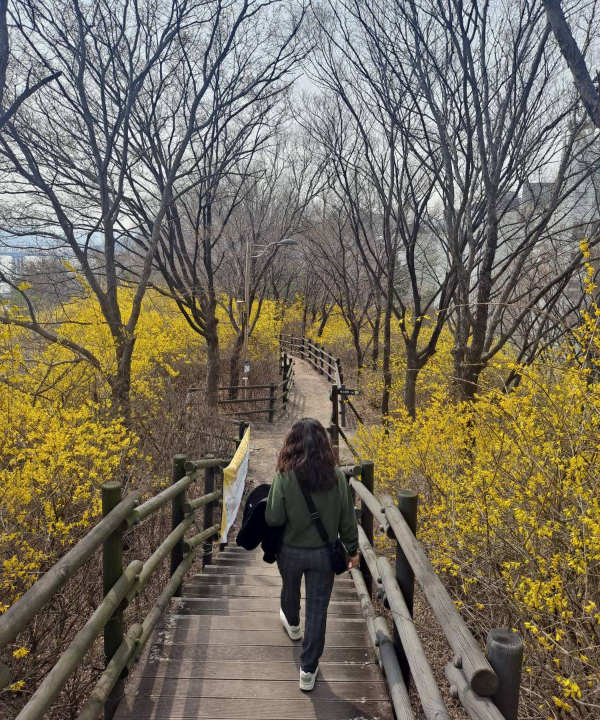 서울숲 내려가는 계단