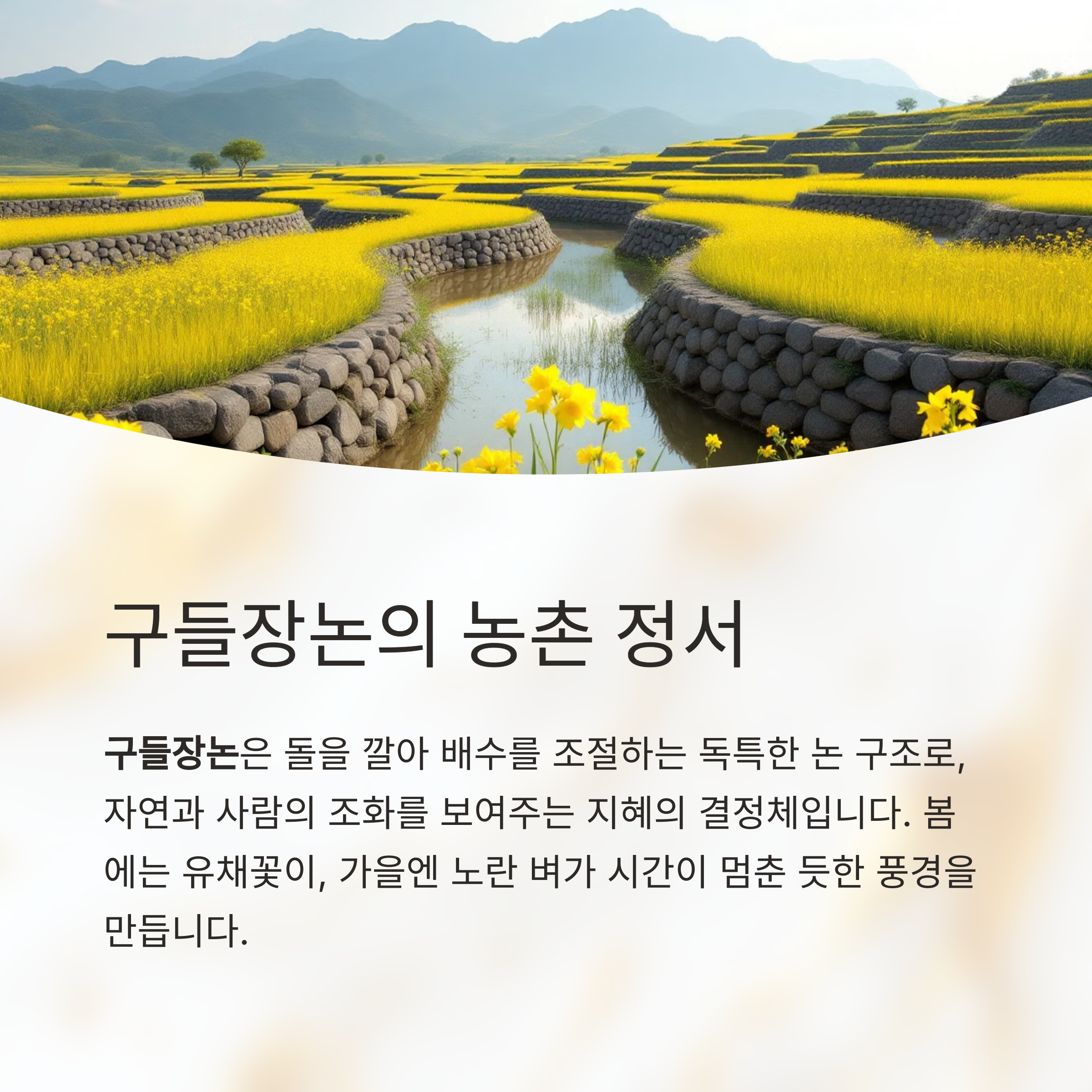 청산도에서 만나는 감성 가득한 완도 힐링 여행