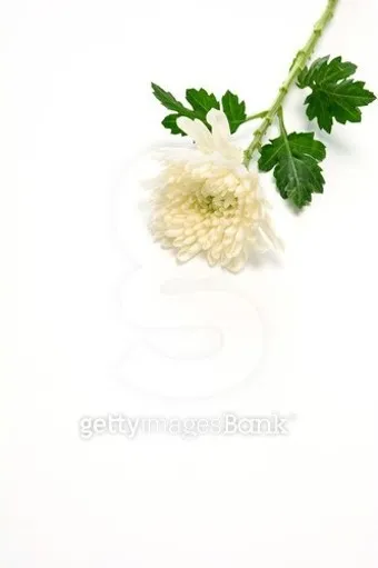 친구 부모님 돌아가셨을 때 위로 문자 모친상 위로말_22