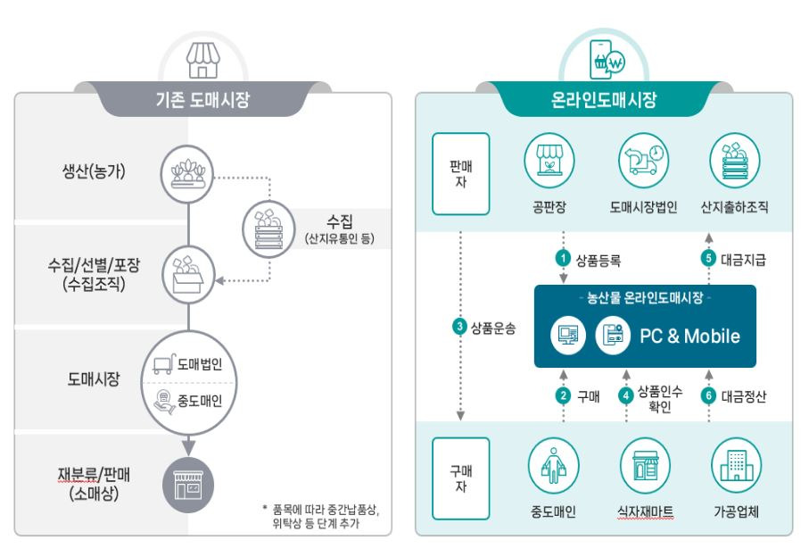 🌱 한국 최초 '온라인 가락시장' 24시간 농산물 직거래 개시