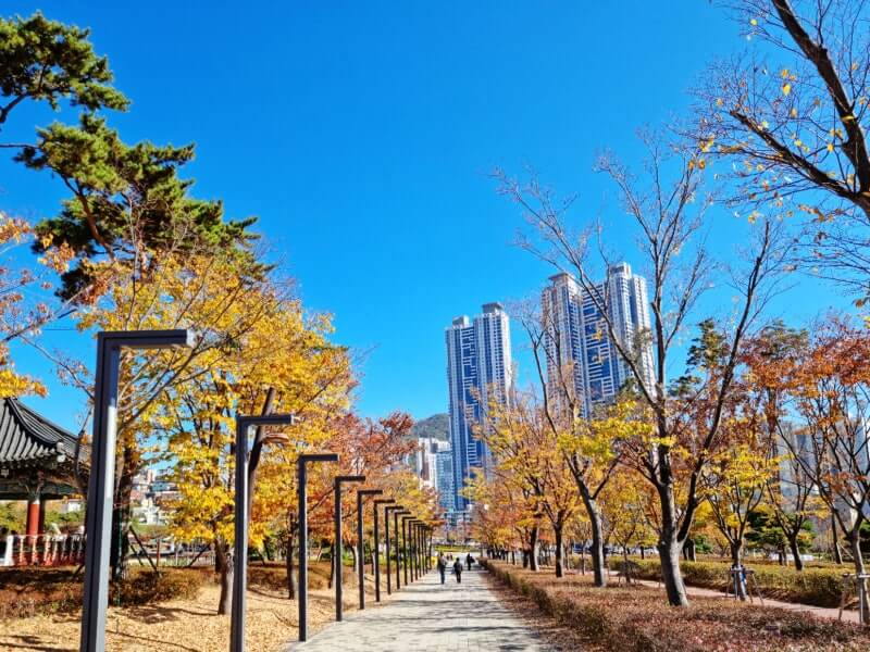 부산 시민공원