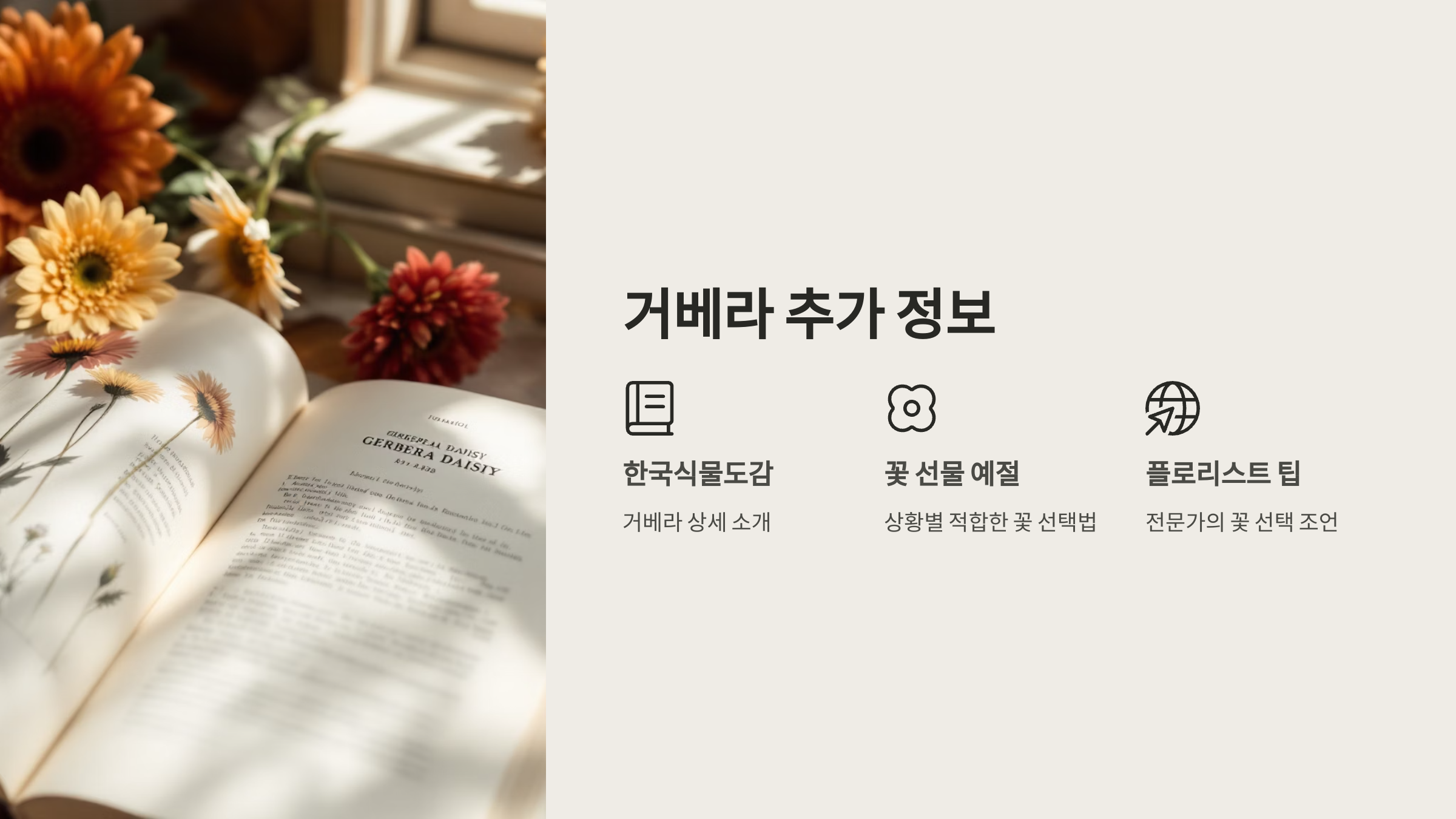 거베라 꽃말