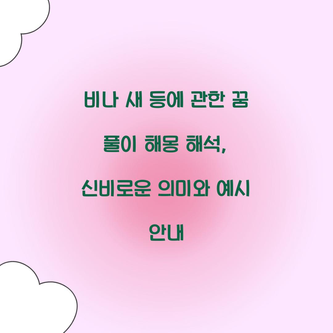 비나 새 등에 관한 꿈 풀이 해몽 해석