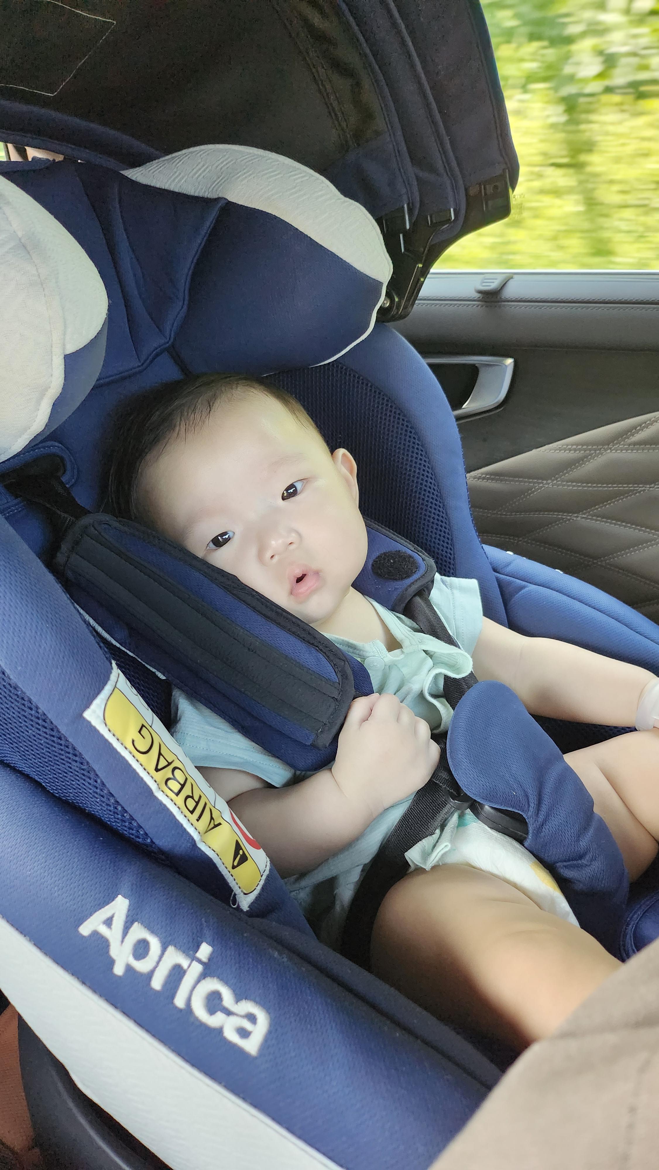 카시트에 앉아있는 6개월 남자아이