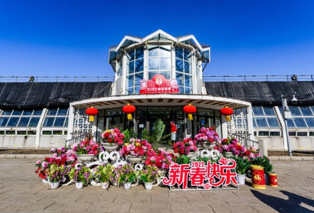 가족과 봄 꽃 축제에 가서 아름다운 꽃을 즐기는 모습