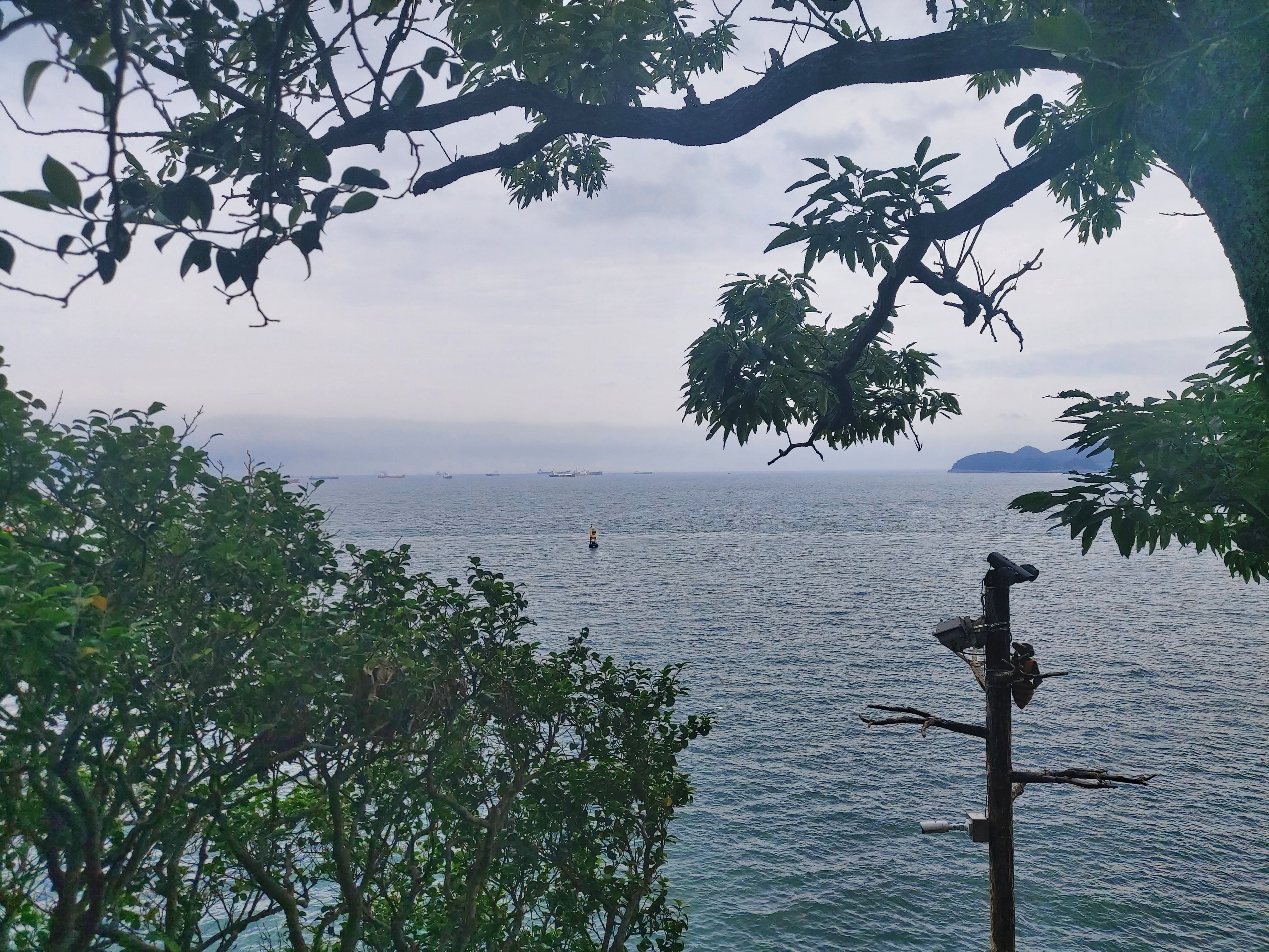 여수 오동도 유람선