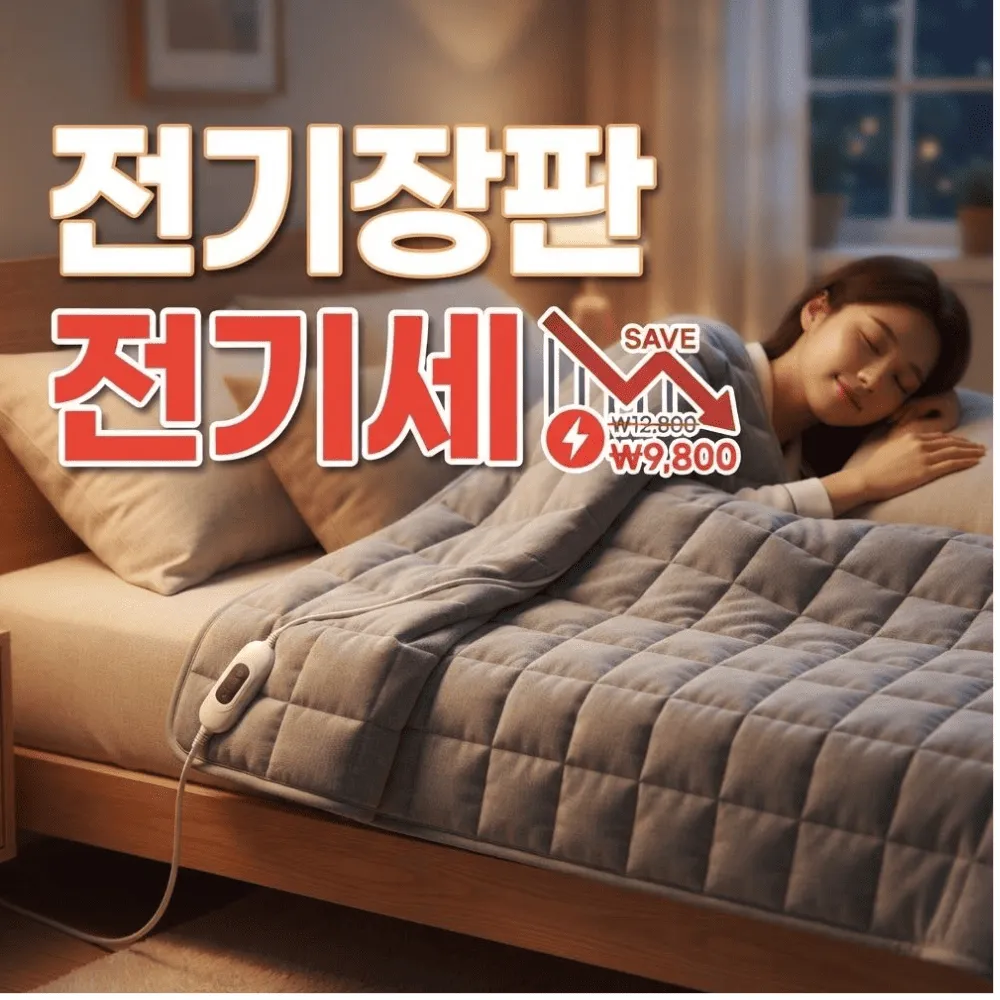 전기장판 전기세