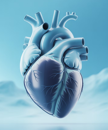 사과식초의 효능