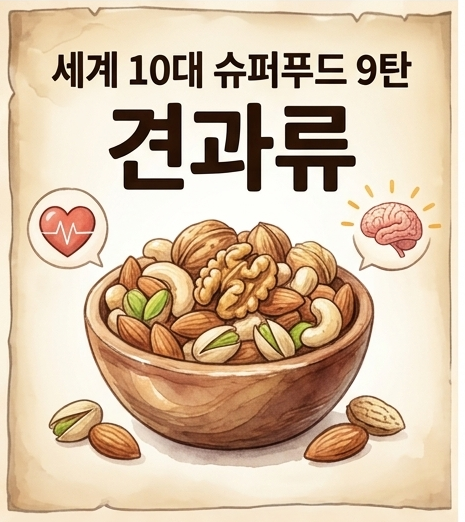 세계 10대 슈퍼푸드 견과류 효능 총정리: 두뇌 건강 지키는 하루 권장량 가이드