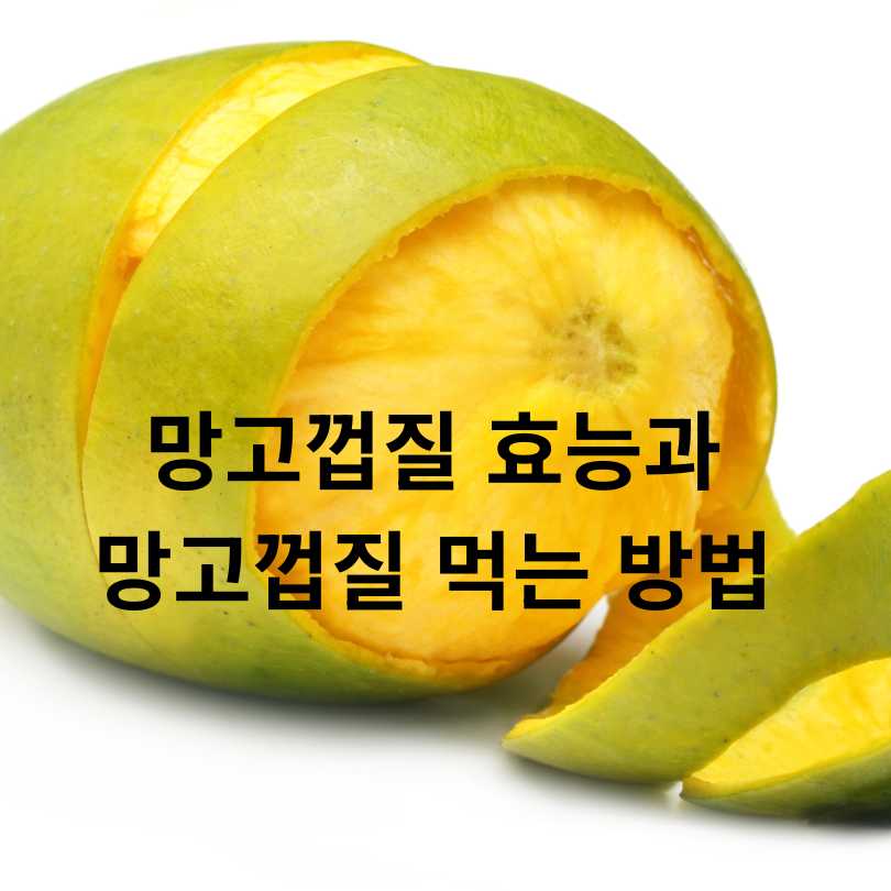 망고껍질 효능과 망고껍질 먹는 방법