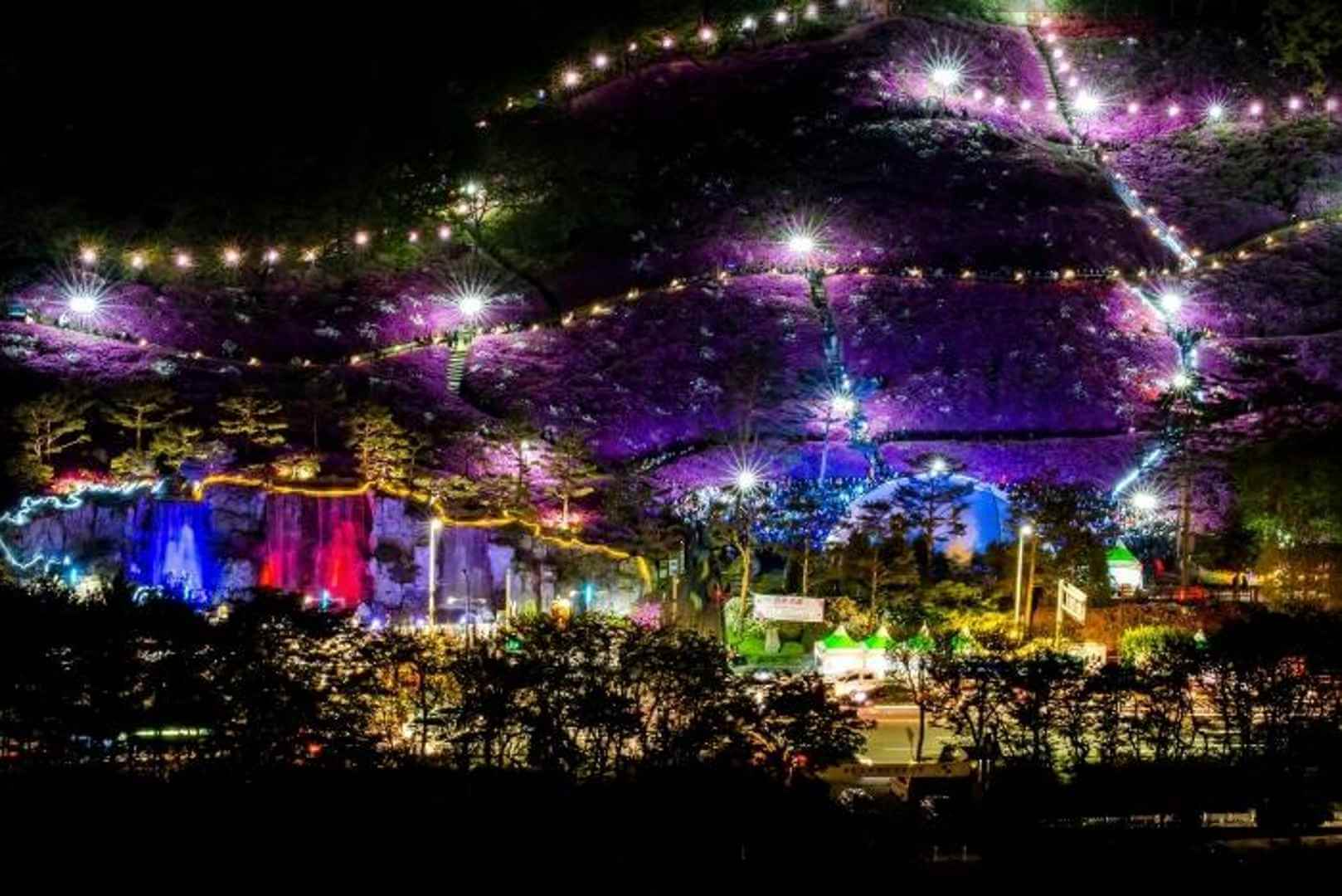 군포 철쭉축제 일정 주차장 공연정보(총정리) 4월 군포 가볼만한곳