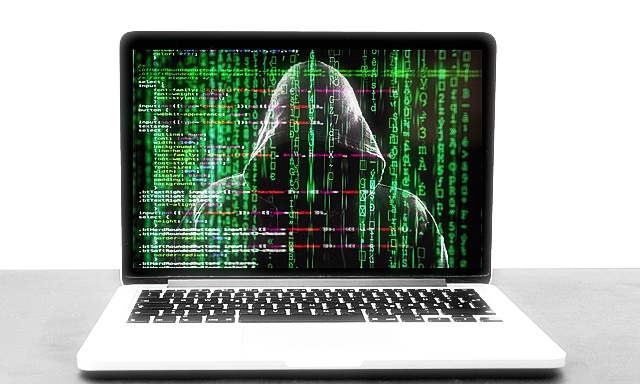 사기 계좌 조회 방법