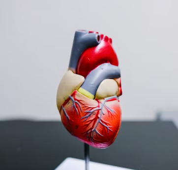 협심증 초기증상 치료방법 원인