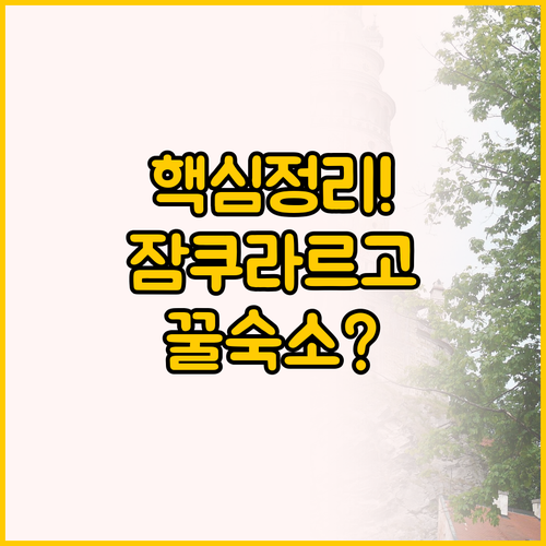 체스키크룸로프 여행 숙소 고민 펜지온..