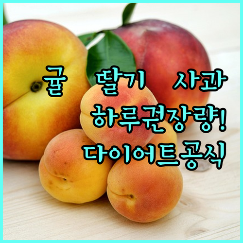 귤 딸기 사과 하루 권장량과 건강한 ..