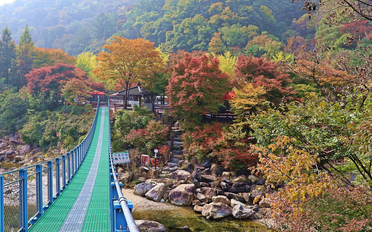 장령산 자연휴양림