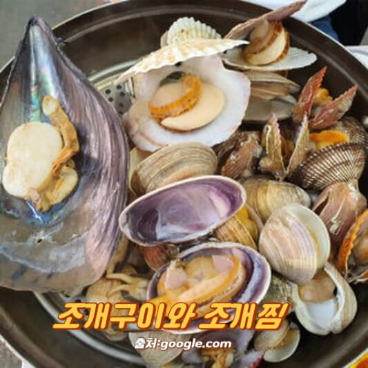 조개구이와 조개찜