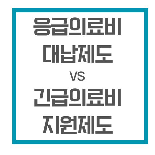 응급의료비대납제도vs긴급의로비지원제도