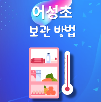 어성초 보관법