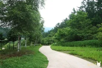 봉화 가볼만한곳 베스트10 현지인 추천 필수코스_16