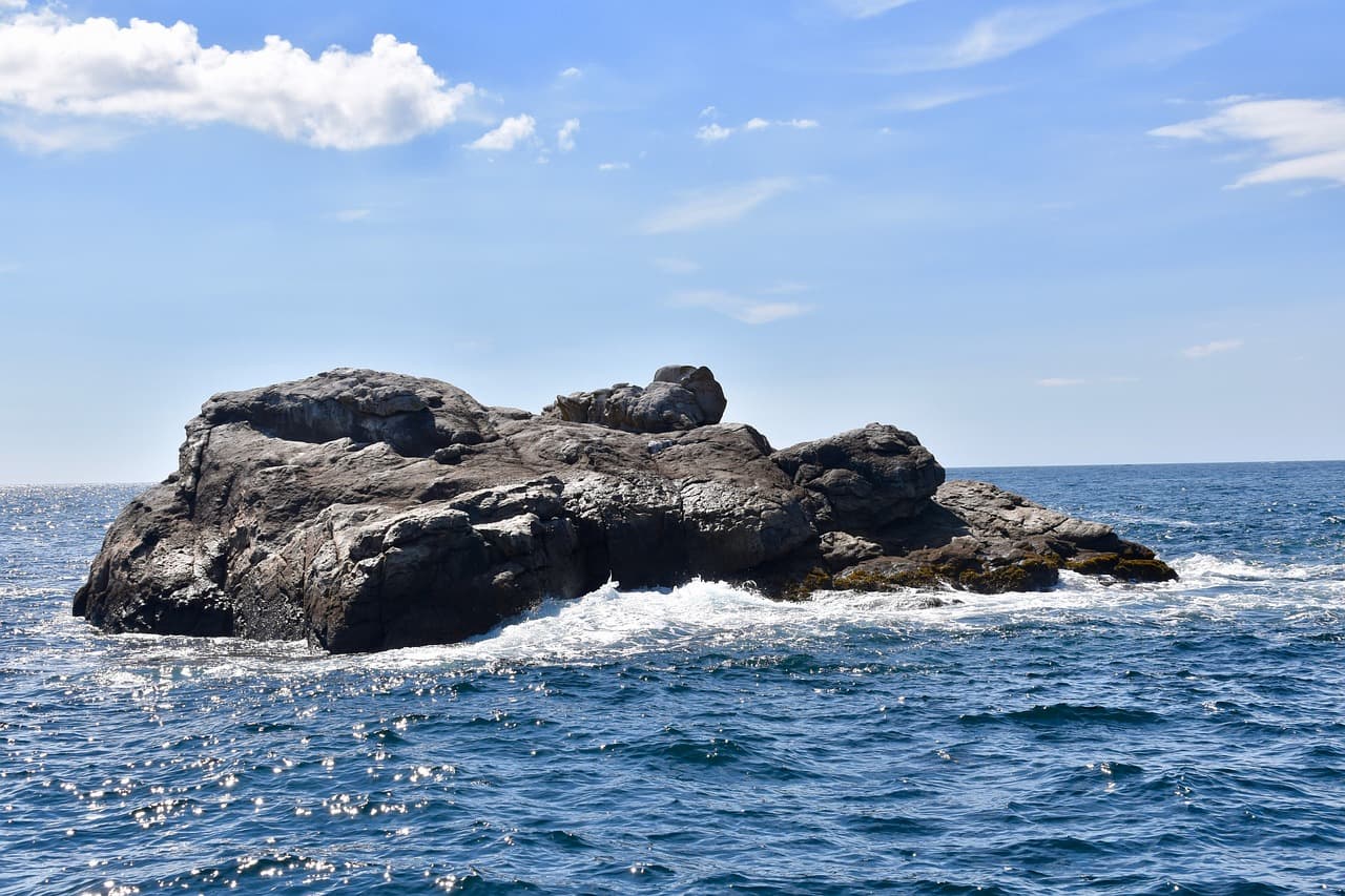 심해 생물들의 사냥법 TOP 5