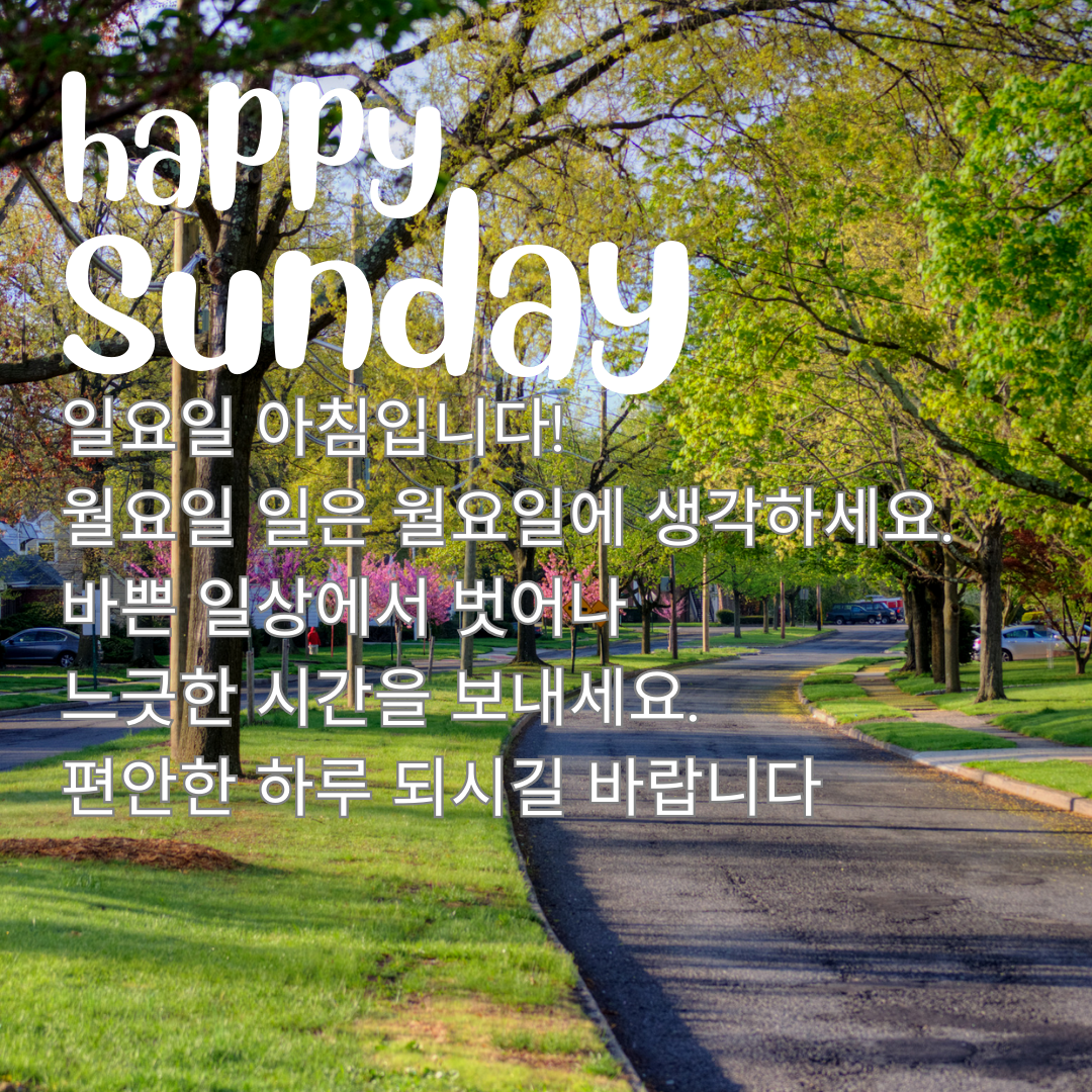 일요일 아침 인사말 이미지 문구 모음집