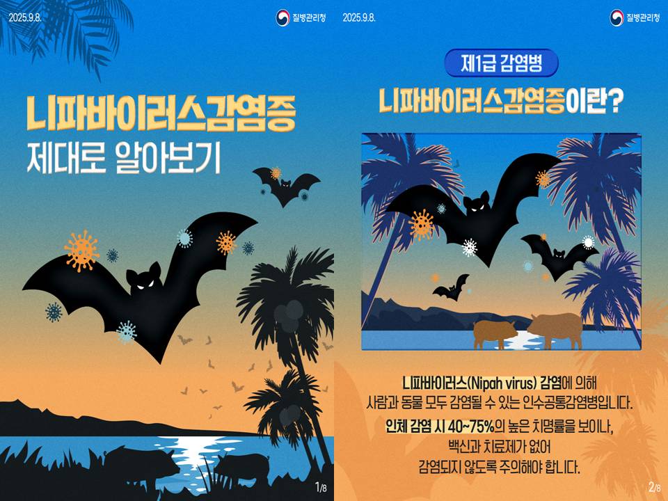 속보 질병관리청 제1급감염병 니파바이러스 치명률 WHO 공중보건 감염경로 대추야자수액 개인위생