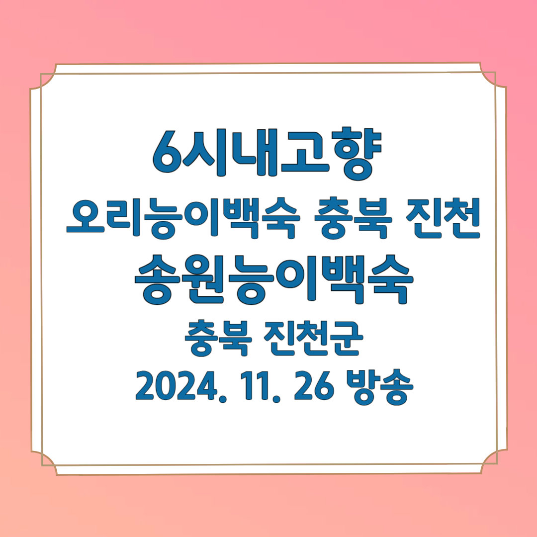 6시 내고향 오리능이백숙 송원능이백숙