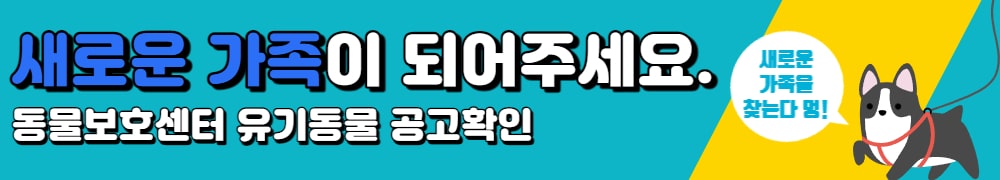 유기견 안심보험 지원
