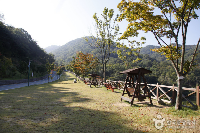 구미 가볼만한곳 베스트10