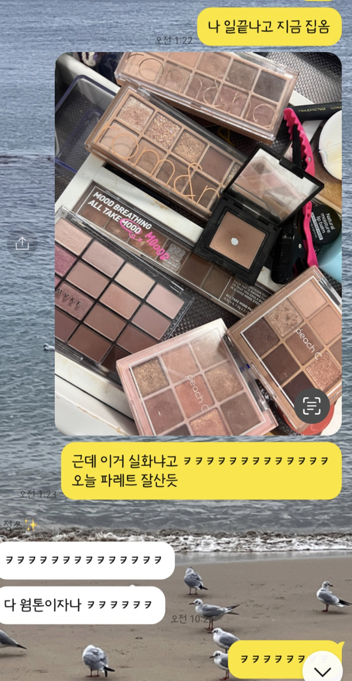 웨이크 메이크 생기블러링 섀도우 팔레트