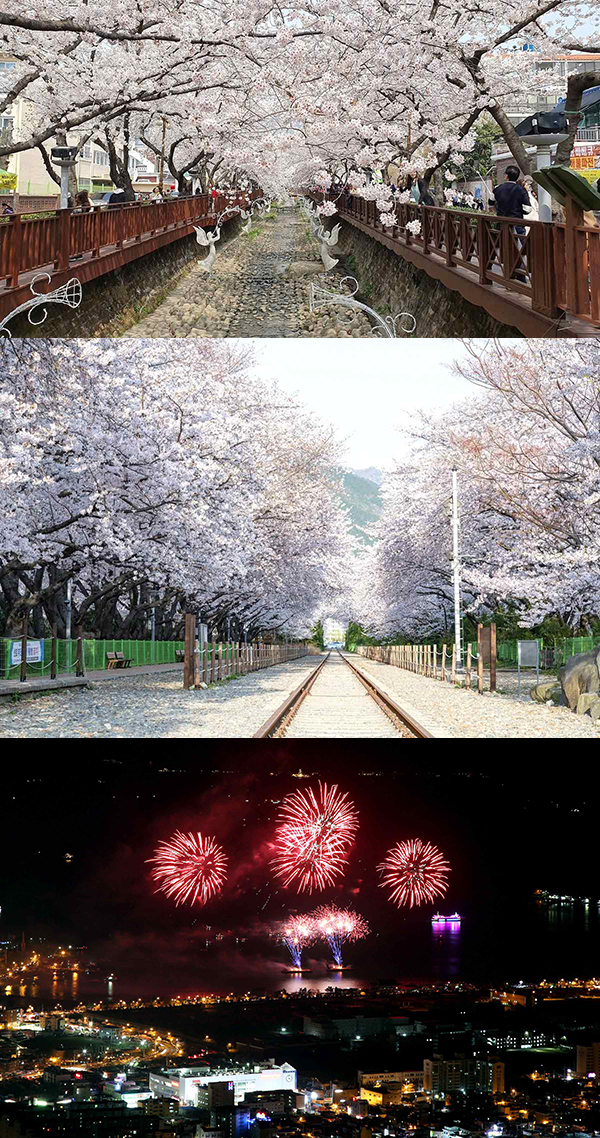 진해군항제