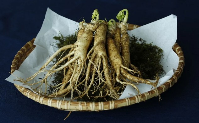 더위에 지친 여름 피로에 좋은 음식, 피로에 좋은 영양제