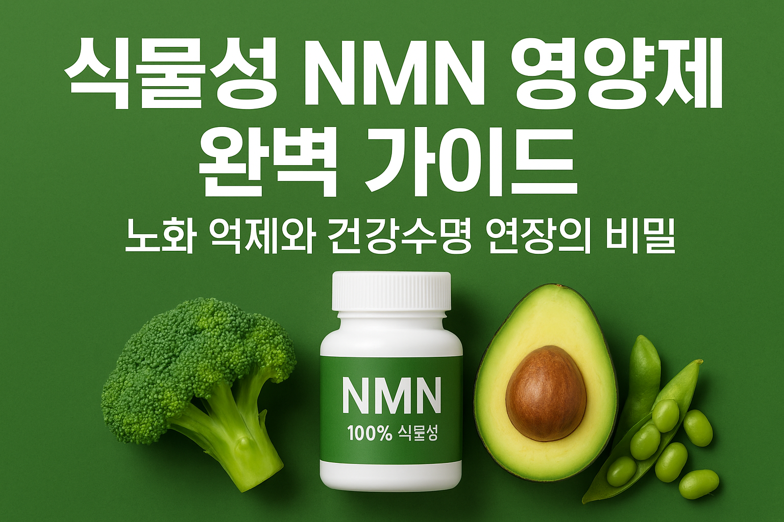 식물성 NMN 영양제 완벽 가이드