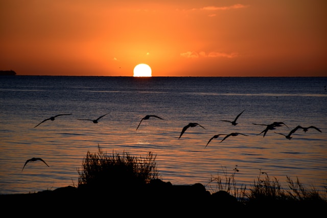 가성비 끝판왕! 침대에서 해돋이 보는 호텔 BEST