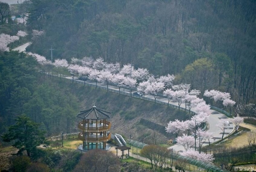 임실 가볼만한곳 베스트 10