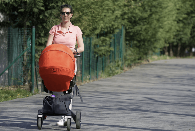 개모차 사용 산책