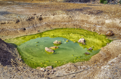 수질 오염 문제와 그 심각성
