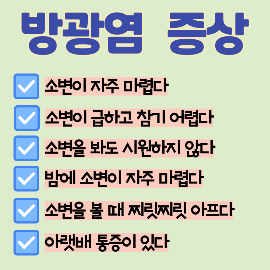 방광염 증상